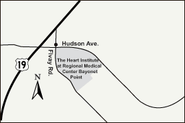 map to Hudson, FL address